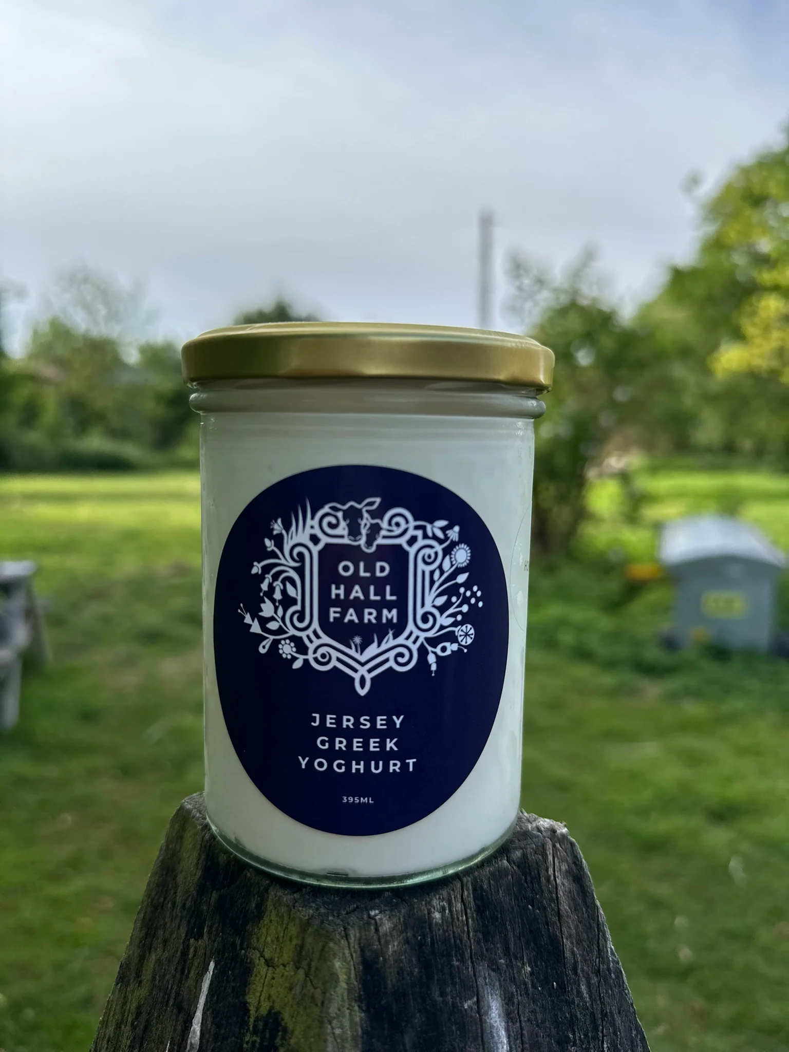 A2/A2 Greek Style Yoghurt with Raw Honey