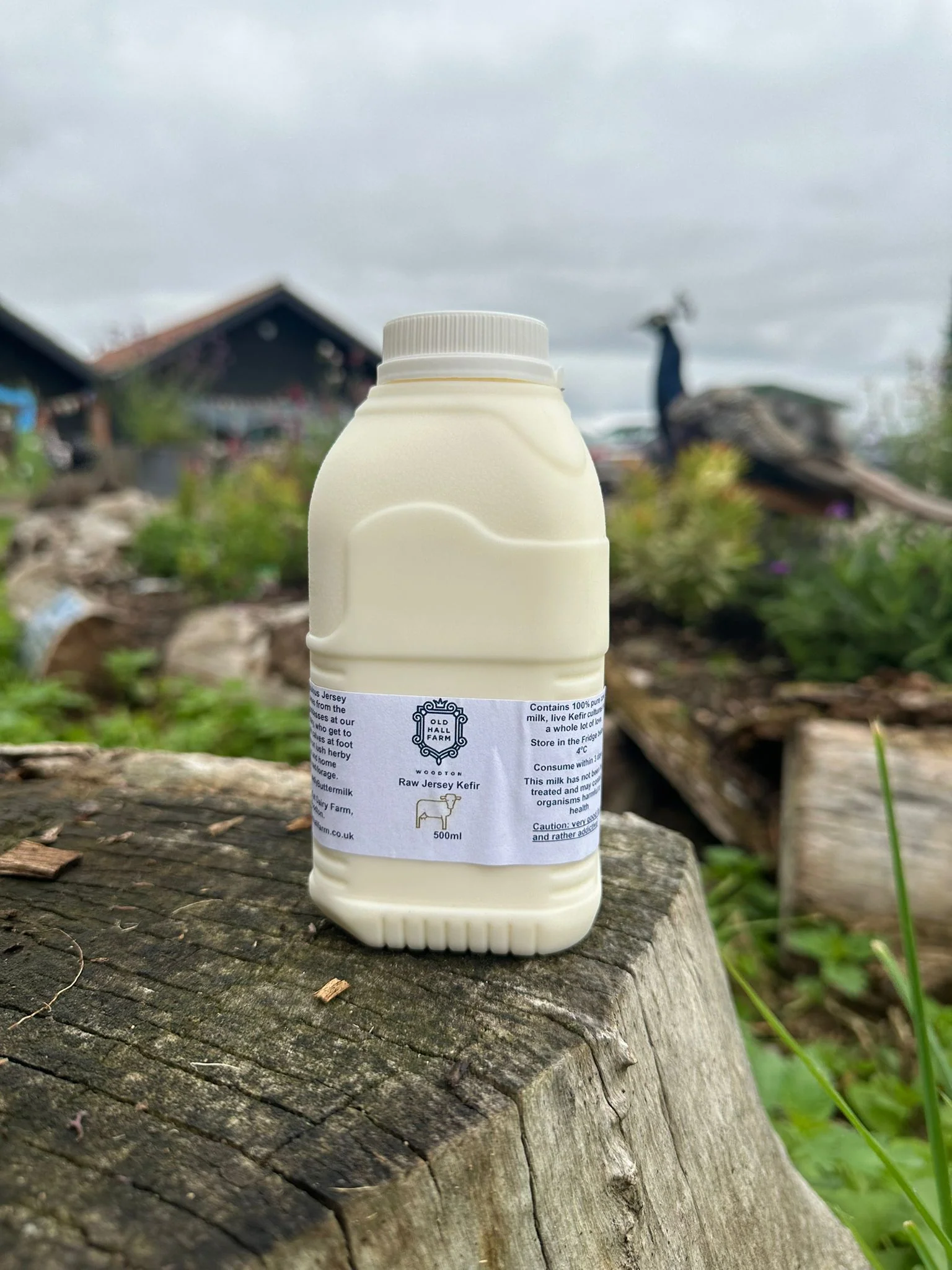 Kefir (full fat)