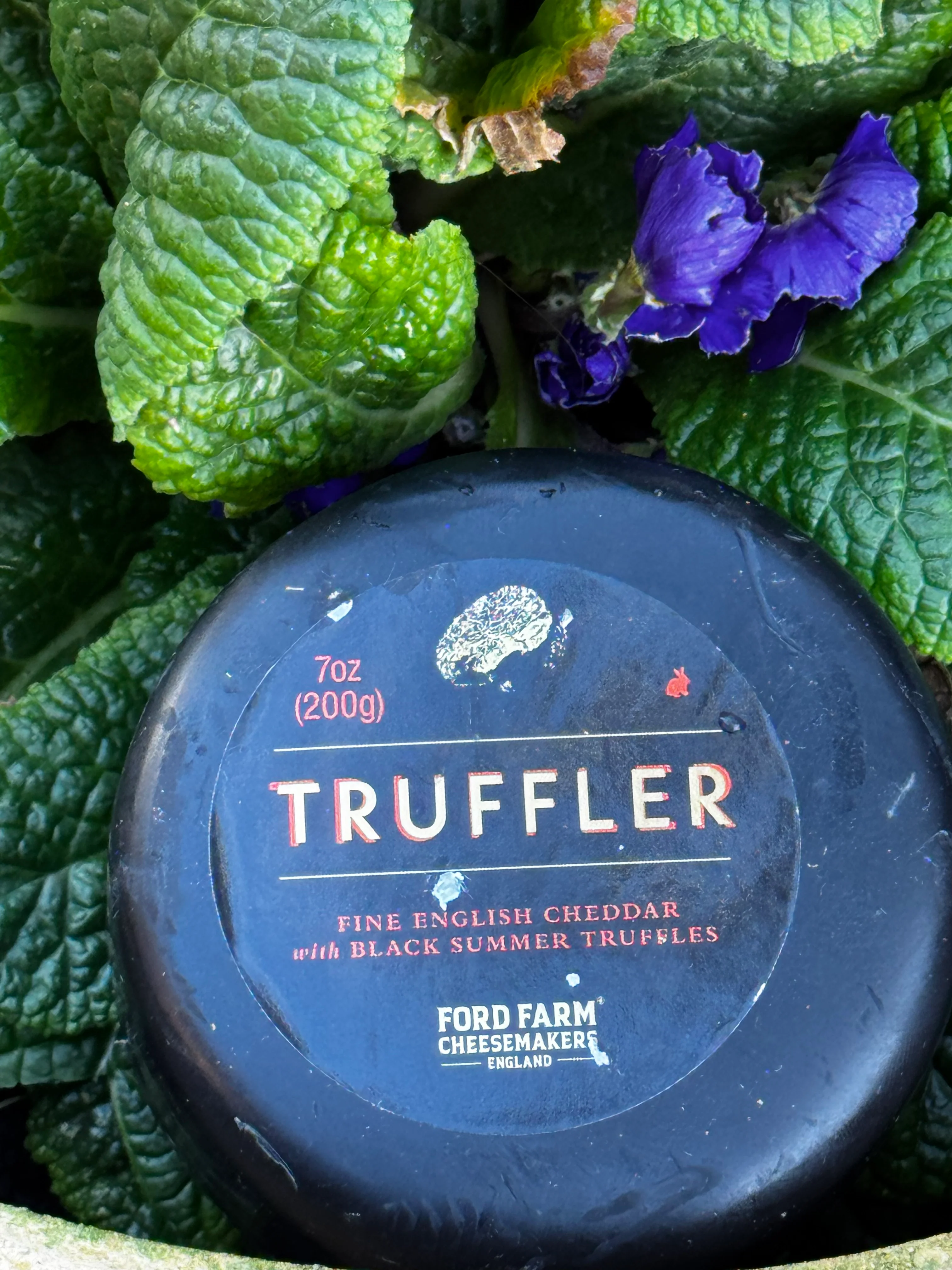 Ford Farm Fine English Cheddar with Black Summer Truffles