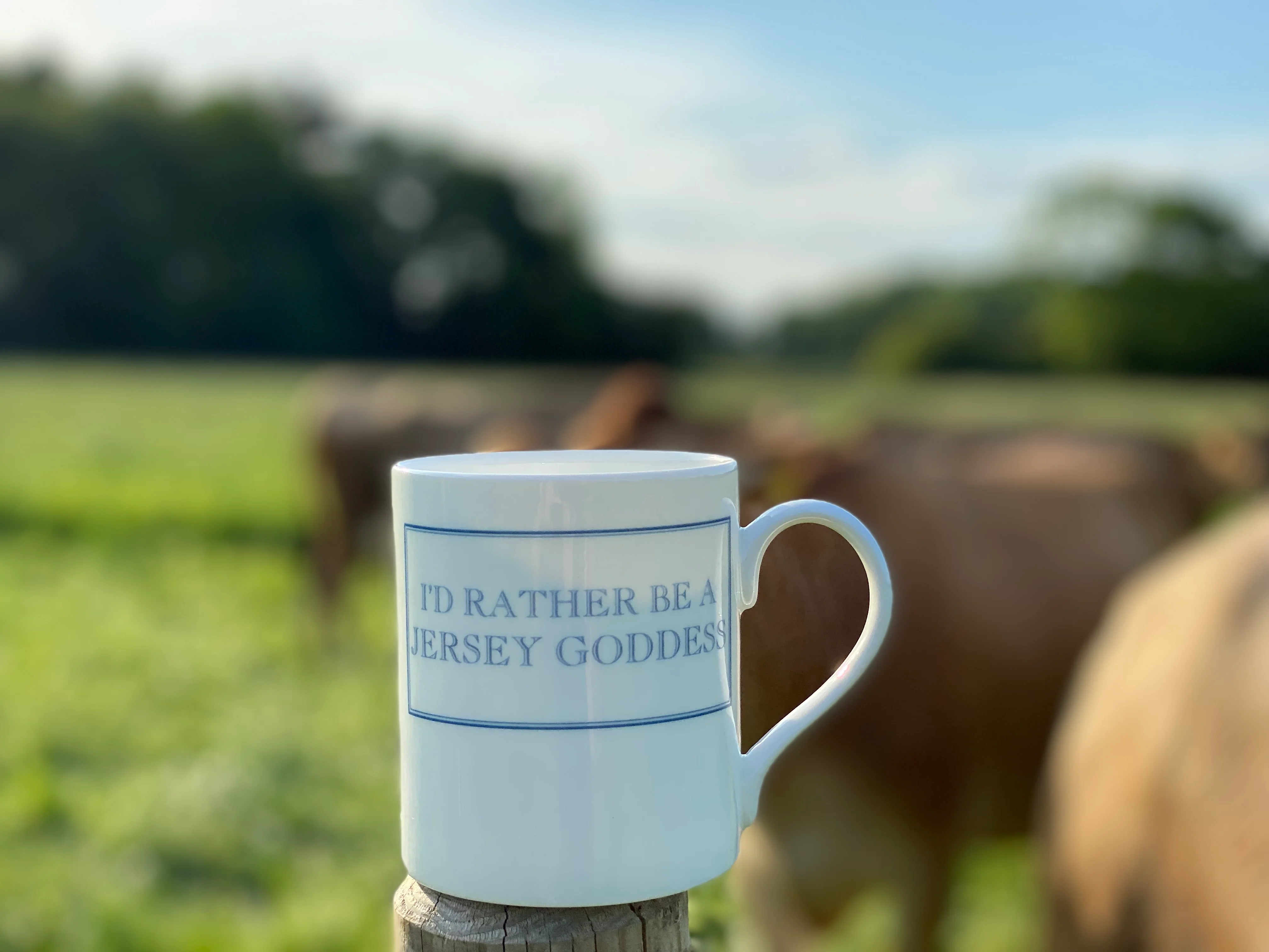 Old Hall Farm Mug - Image 2