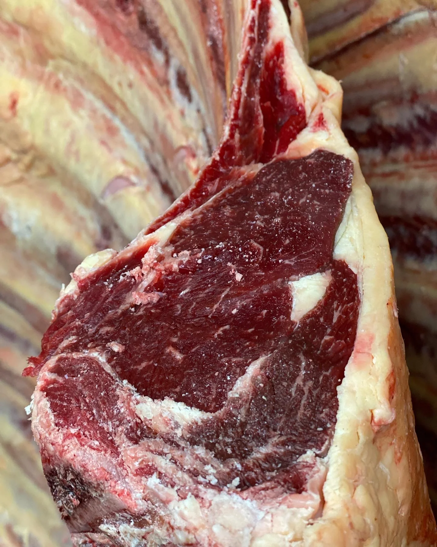 Jersey Beef box - taster selection - Limited Supply - Dispatch w/c 28/7 - Image 4