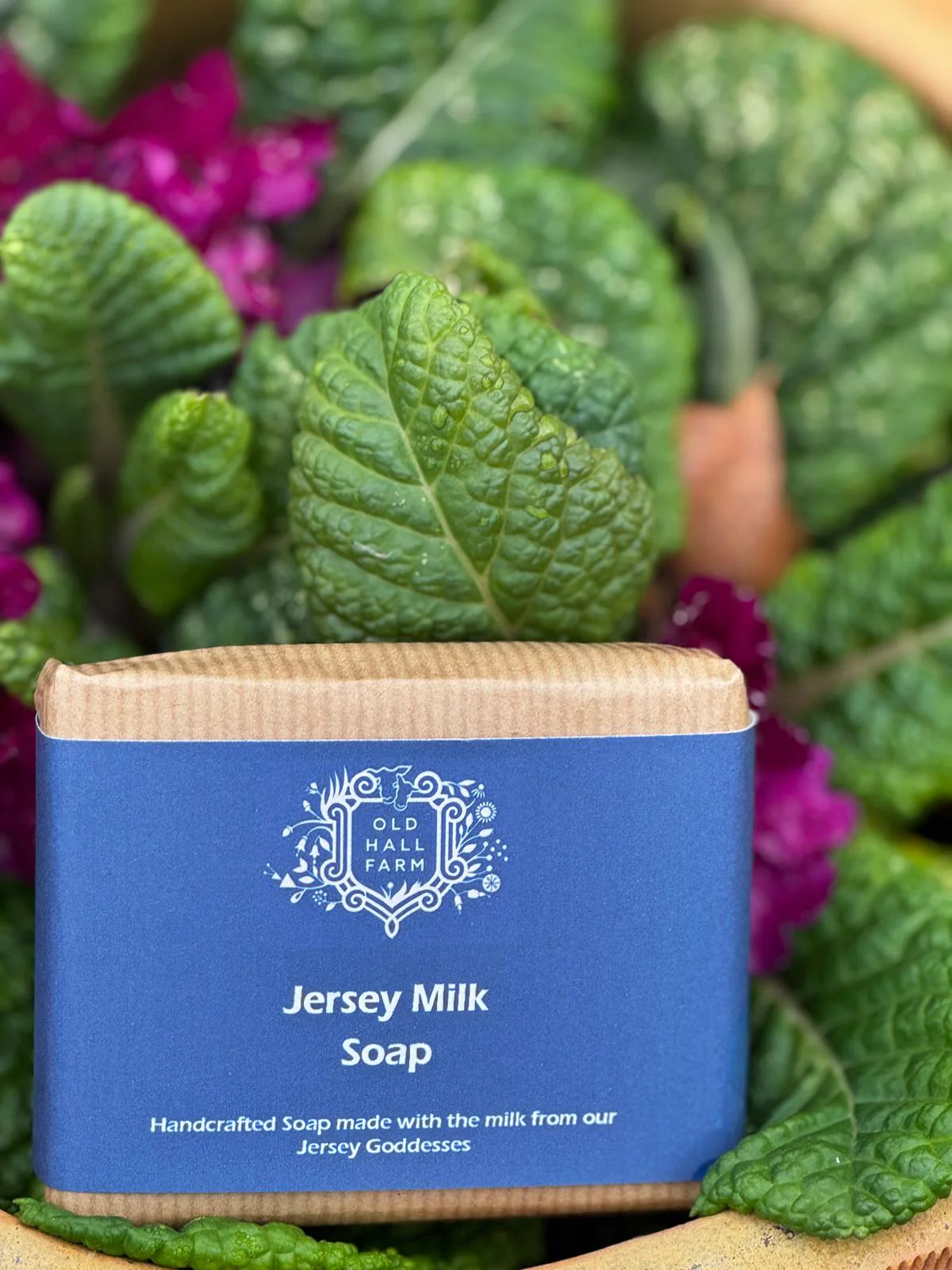 Jersey Milk Soap