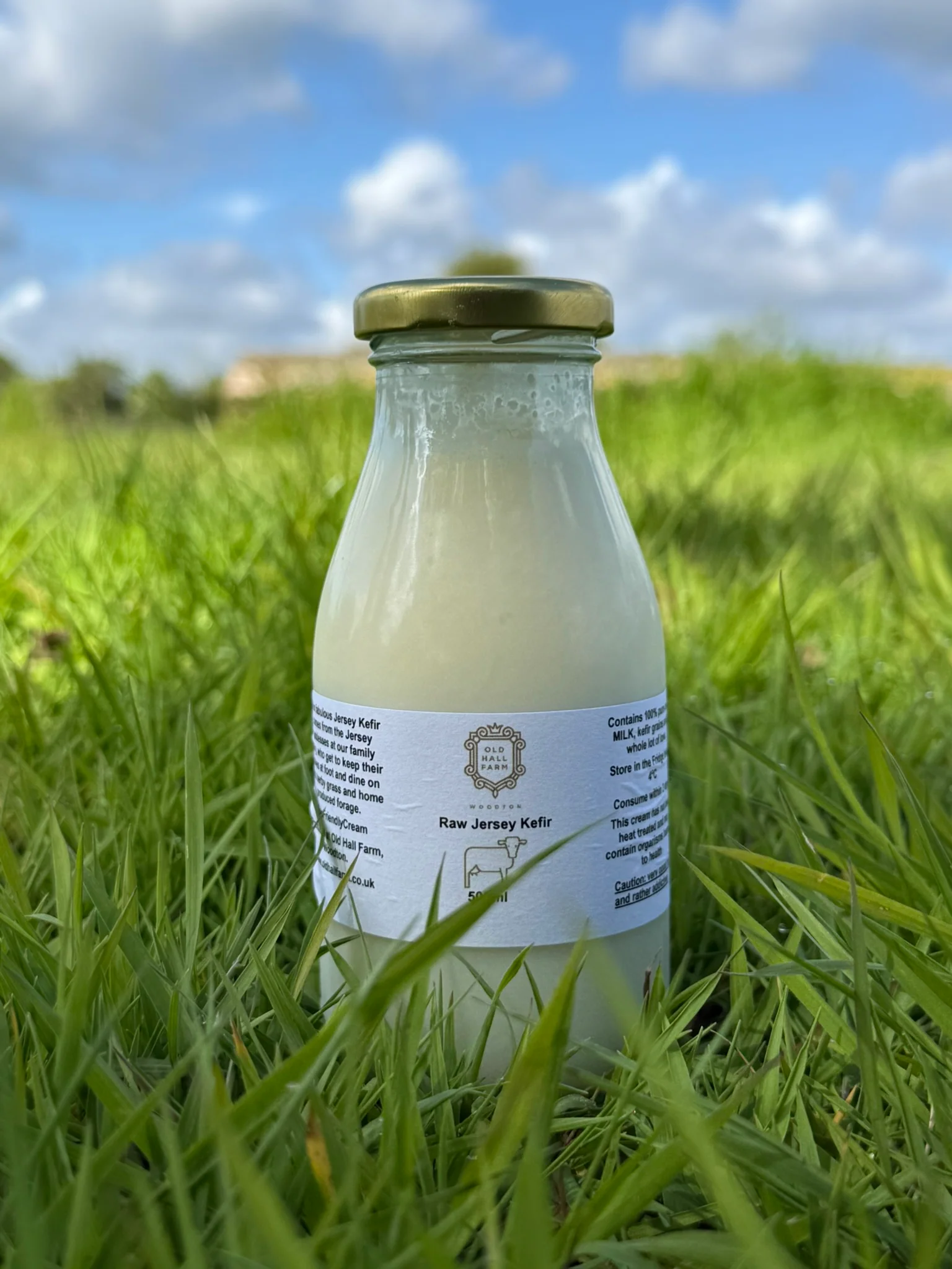 Kefir 250ml in Glass Bottles (full fat)