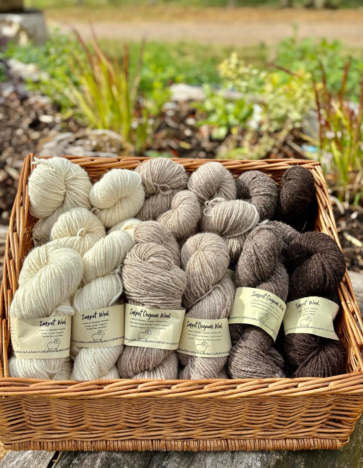 Organic Wool - Image 2