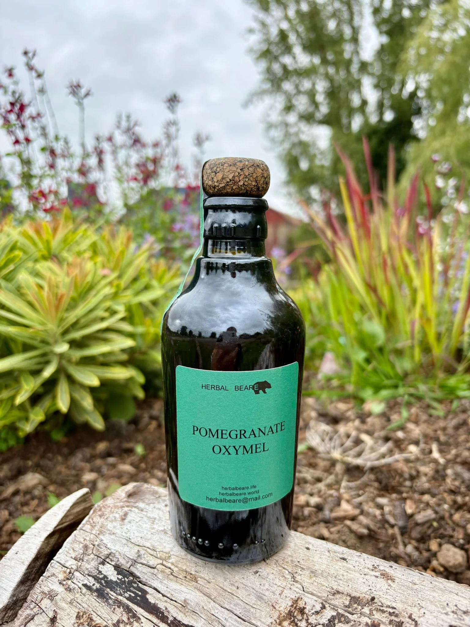 Pomegranate Oxymel
