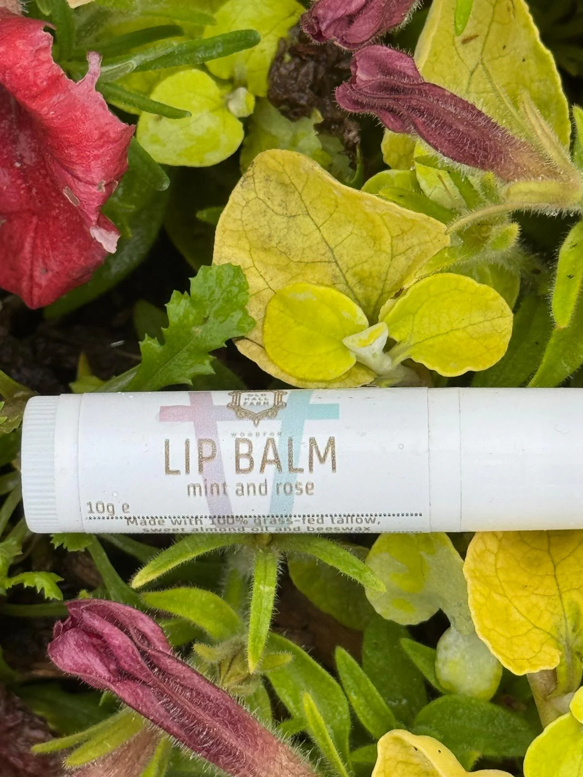 Tarro - Tallow Balm - Image 7