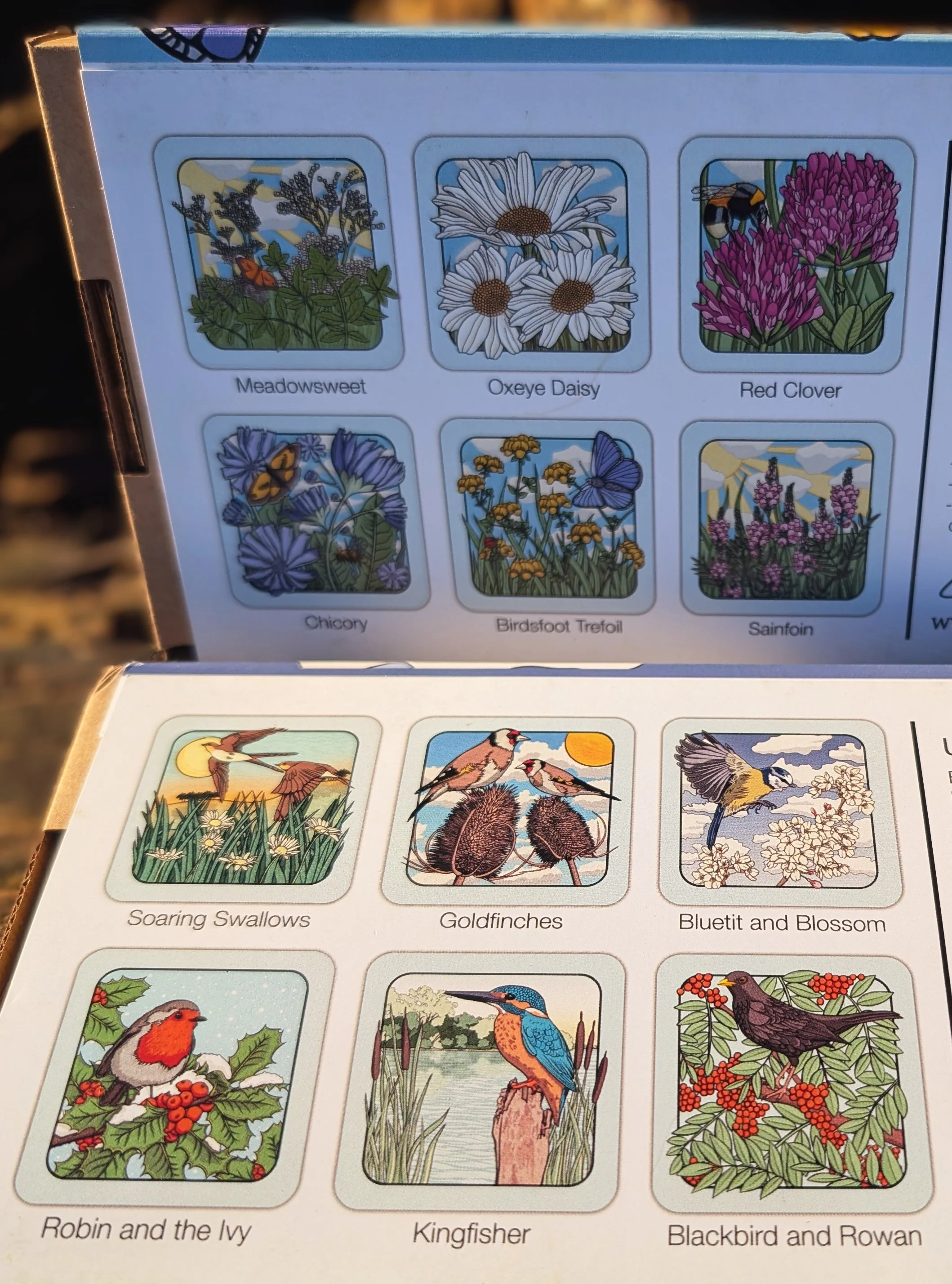 Artist Zoe Howard Coasters - Image 2